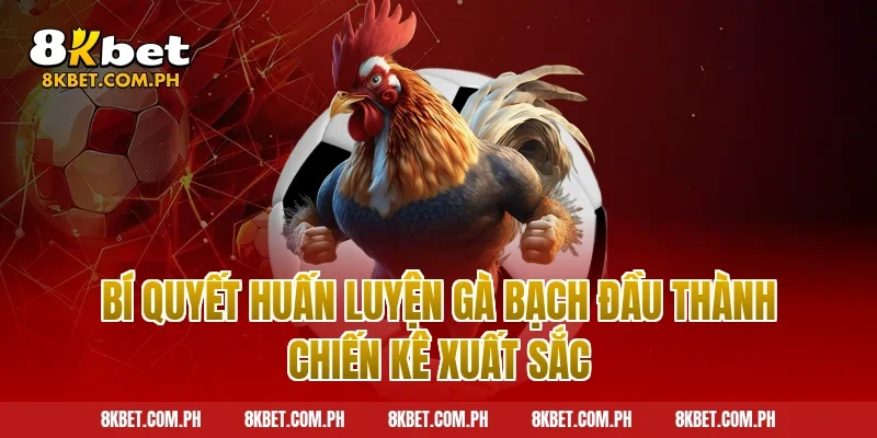 Bí quyết huấn luyện gà bạch đầu thành chiến kê xuất sắc