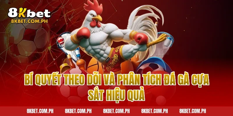 Bí quyết theo dõi và phân tích đá gà cựa sắt hiệu quả