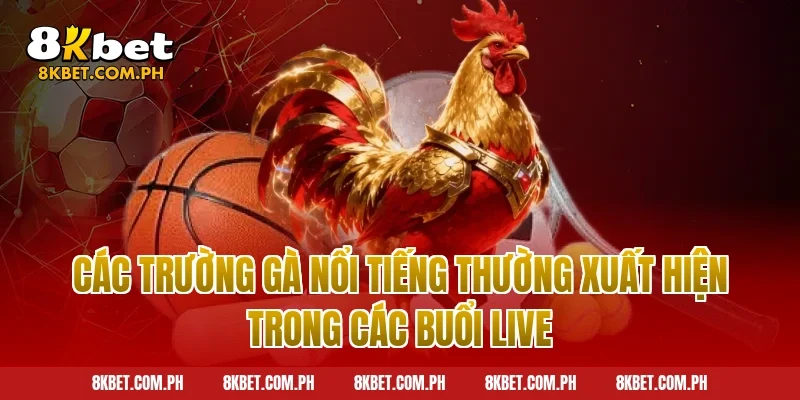Các Trường Gà Nổi Tiếng Thường Xuất Hiện Trong Các Buổi Live
