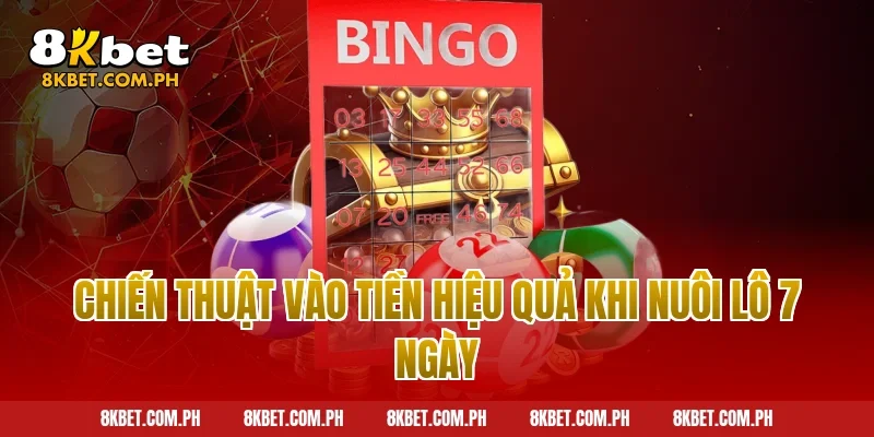 Chiến thuật vào tiền hiệu quả khi nuôi lô 7 ngày