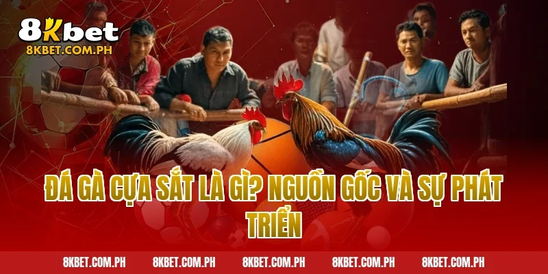 Đá gà cựa sắt là gì? Nguồn gốc và sự phát triển