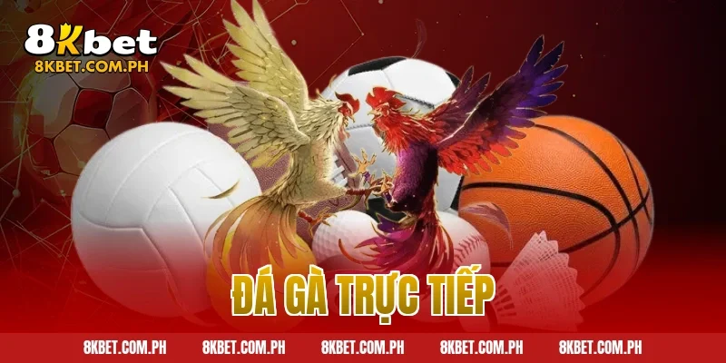 đá gà trực tiếp