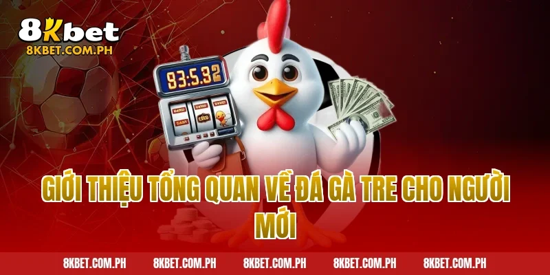 Giới thiệu tổng quan về đá gà tre cho người mới