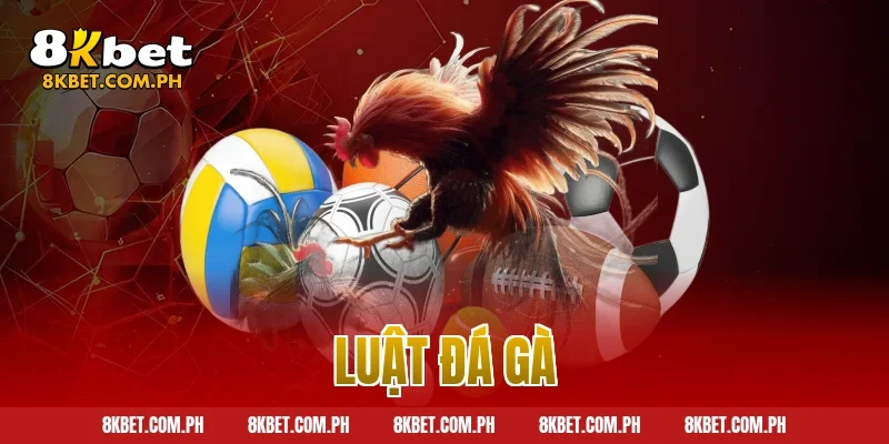 luật đá gà