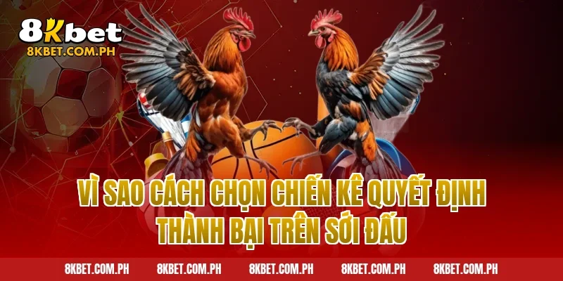 Vì sao cách chọn chiến kê quyết định thành bại trên sới đấu